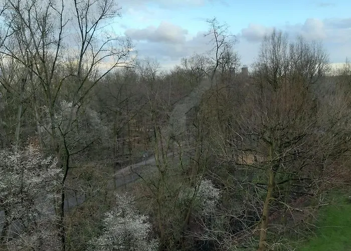 Daire Zentral Und Doch Köln